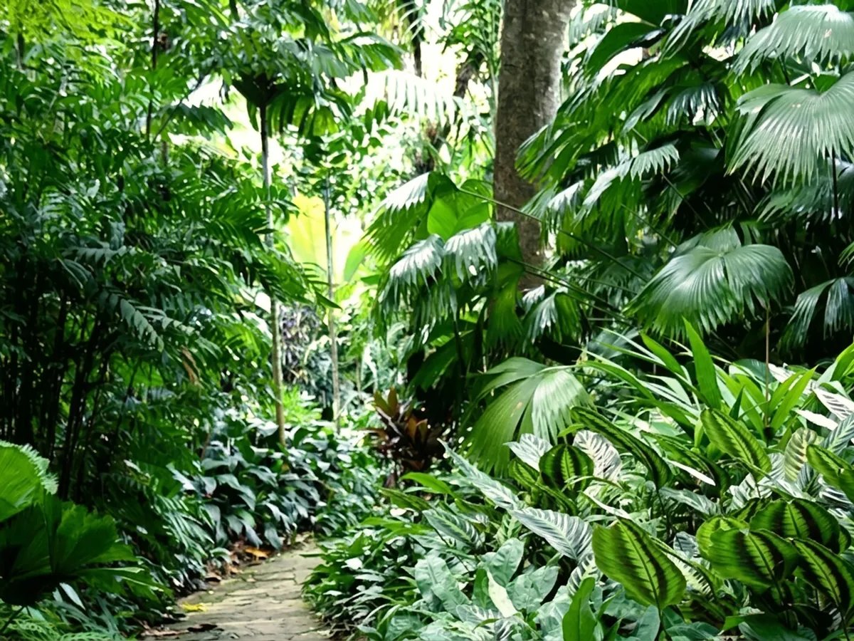 Sendero Ecológico — Jardines de Sierralta