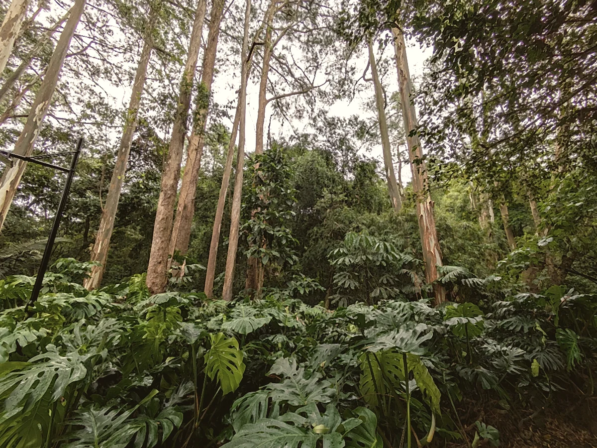 Sendero Ecológico — Jardines de Sierralta